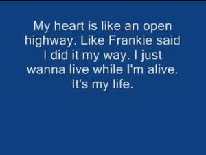 Embedded thumbnail for Bon Jovi - It's My Life