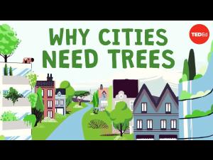 Embedded thumbnail for What happens if you cut down all of a city's trees? 